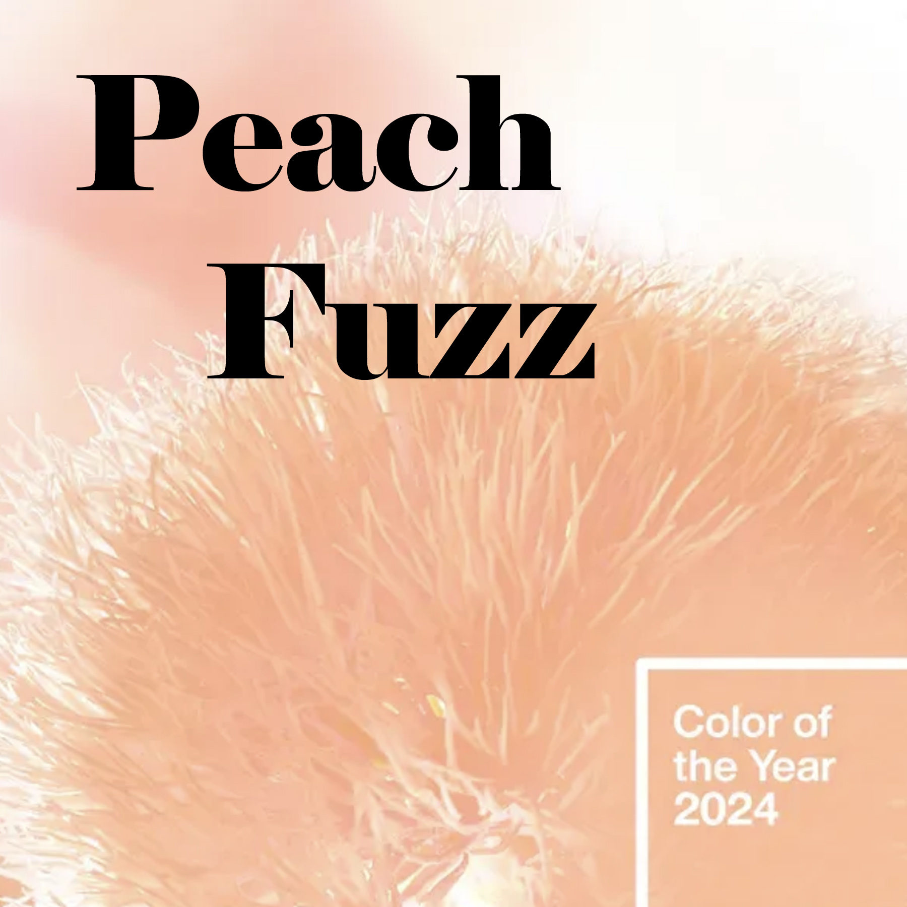 color 2024
